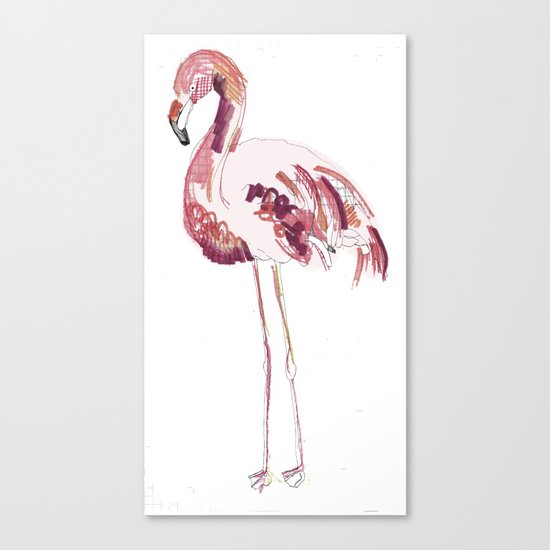 Flamingo Canvas Print
