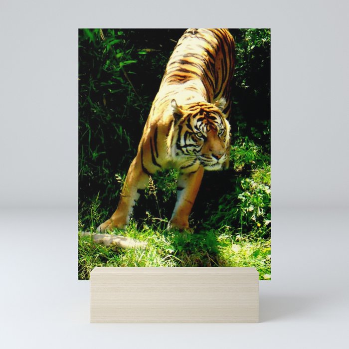 On the Prowl Mini Art Print