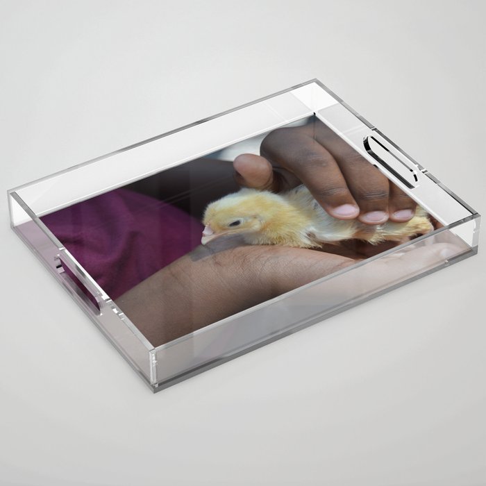 Protecting Chick Acrylic Tray