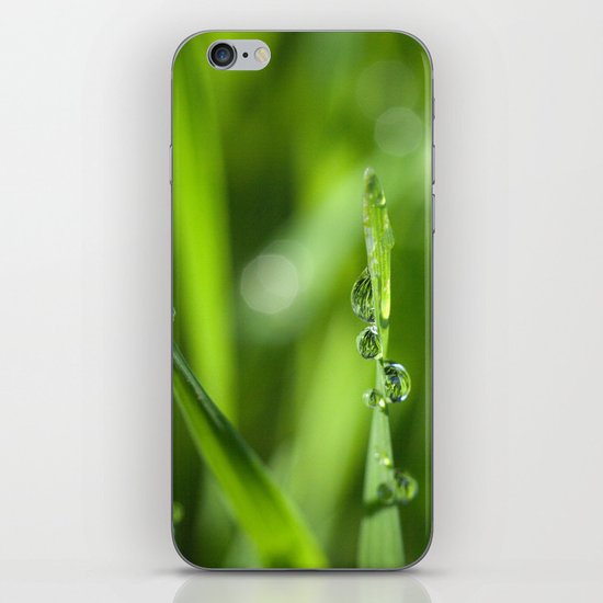Morning dew 8548 iPhone & iPod Skin