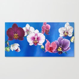 Mixed orchids Canvas Print