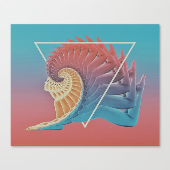 Fibonacci Canvas Print