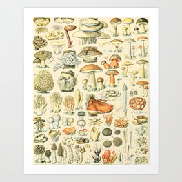 Mushrooms Painting, Trippy Art, Boho Decor, Psychedelic Art, Cottagecore Decor - Mushroom Drawing Art Print