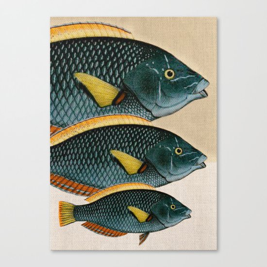 Fish Classic Designs 10 Canvas Print