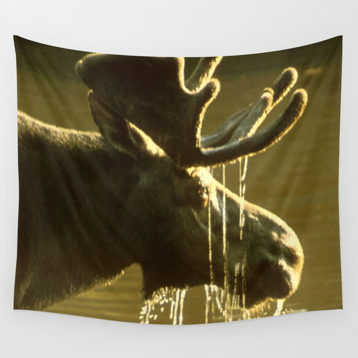 Moose Dipping His Head Into Water Wall Tapestry