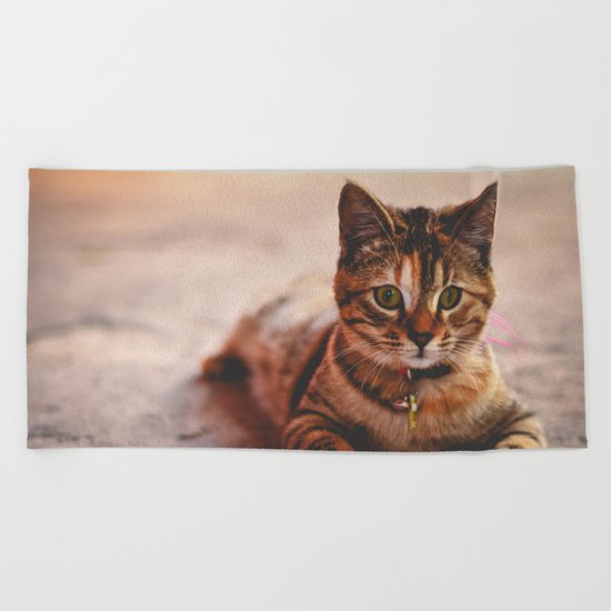 Cute Young Tabby Cat Kitten Kitty Pet Beach Towel