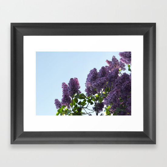 Good Morning Framed Art Print