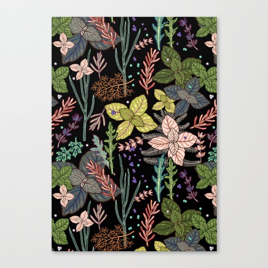 mysterious herbs Canvas Print