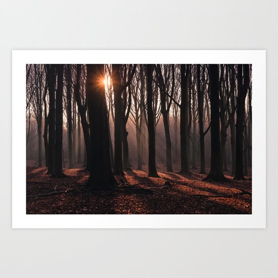 Up In The Woods Art Print