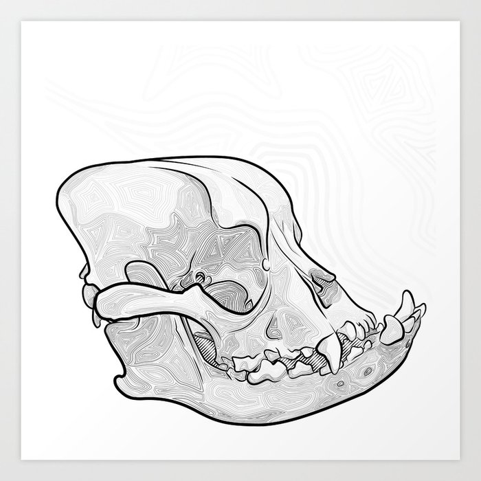 English store bulldog skull