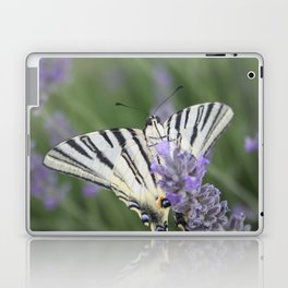 Common Yellow Swallowtail Feeding On  Lavender Photograph Laptop Skin