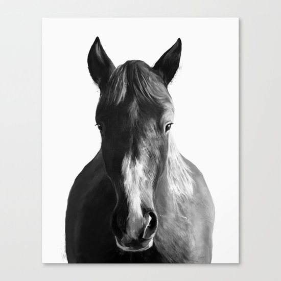 Horse Canvas Print