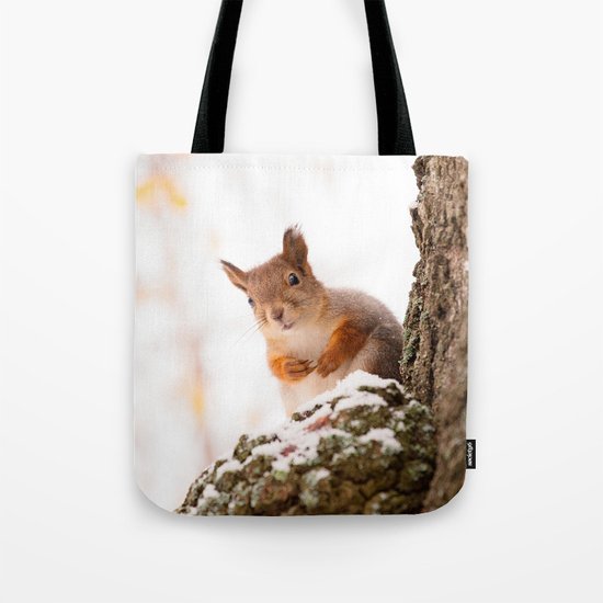 Squirrel in first snow Tote Bag