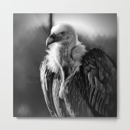 Griffon Metal Print