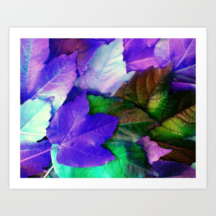 The Purple Leaves of Autumn Art Print