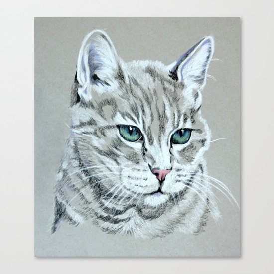 Cat portrait Canvas Print