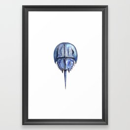 Blue Horseshoe Crab Framed Art Print