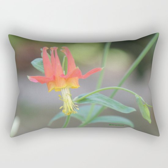 Pastel Columbine Afternoon Rectangular Pillow