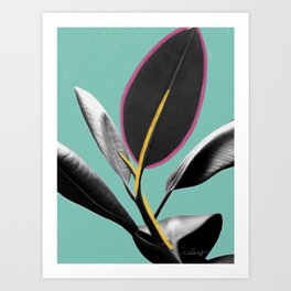 Pakipot (Playing Coy) I - Tropical Ficus Elastica Modern Mixed Media Photography Illustration Art Print