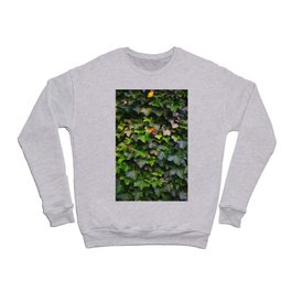 Ivy Crewneck Sweatshirt