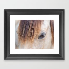 Chincoteague Island Pony Framed Art Print