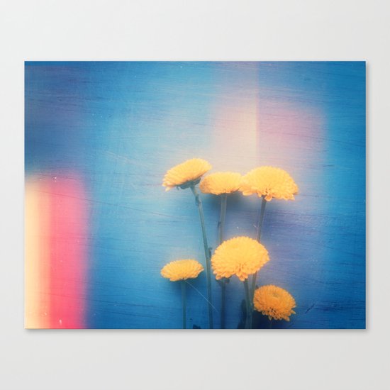 Little Yellow Flowers on a Blue Day Canvas Print