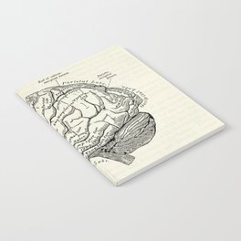 Vintage medical illustration of the human brain Notebook