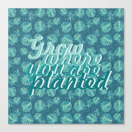 Grow where you are planted Canvas Print