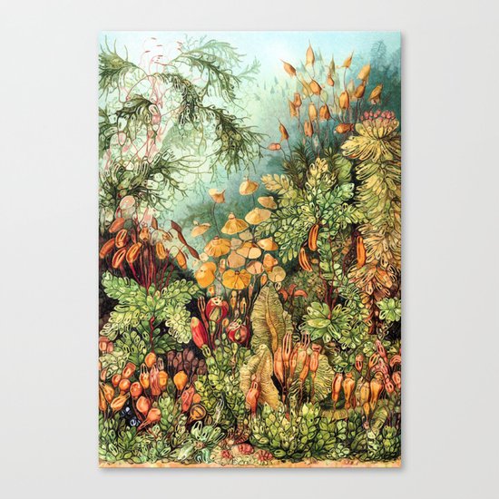 Botanic Vintage Canvas Print