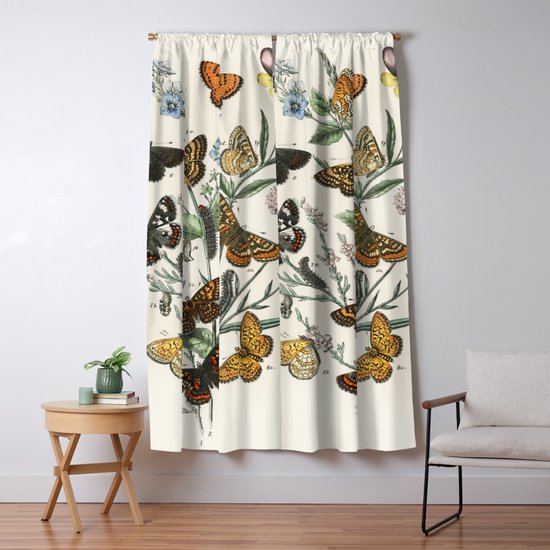 Vintage Scientific Illustration Butterfly Botanical Floral ...