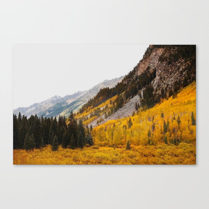 Canvas Print