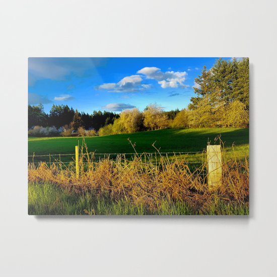 Golden Evening Light Across A Field Metal Print
