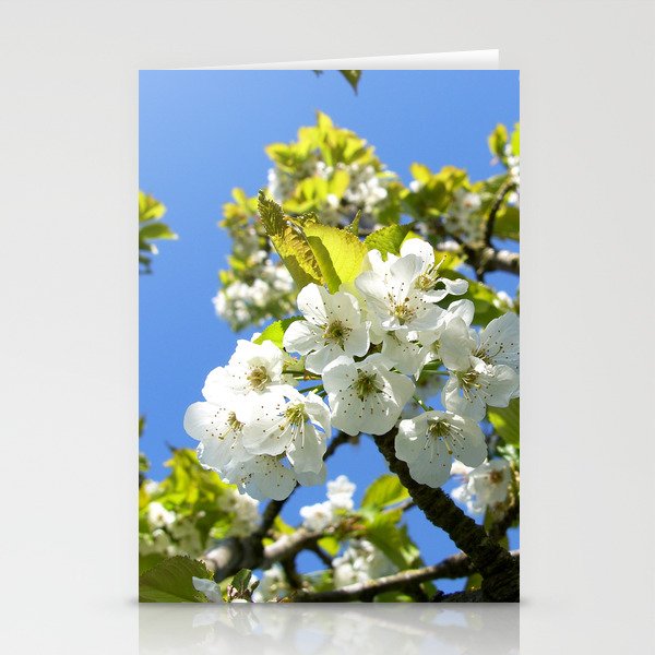 Apple Blossom Stationery Cards