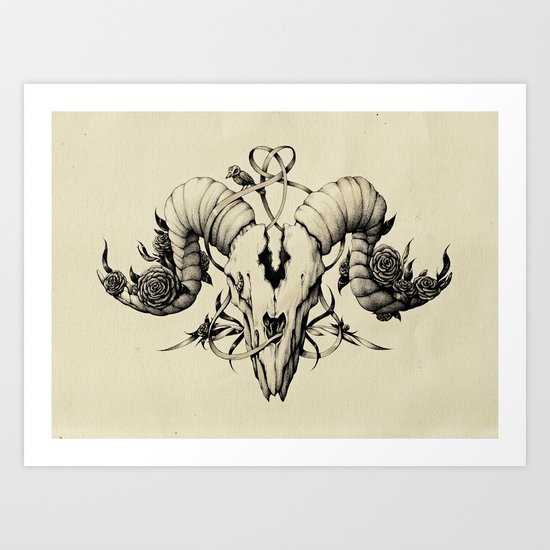 The Skull Drawing Art Print
