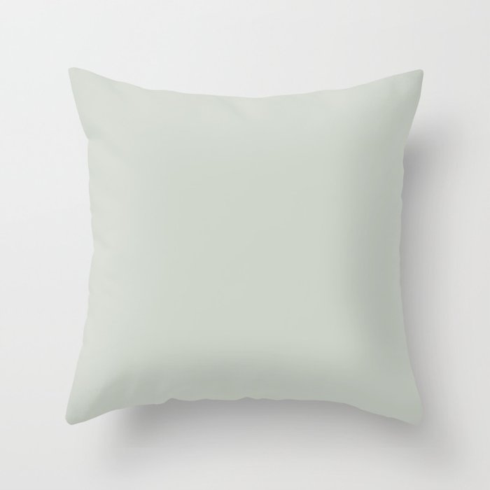 Pastel Green Gray Grey Solid Color - Cool Neutral Earth Tone Shade Single Hue Throw Pillow