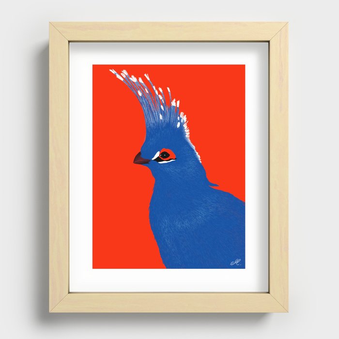 Turako red and blue Recessed Framed Print