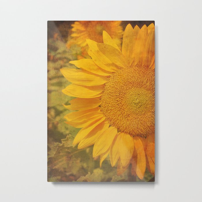 Sunflower Metal Print