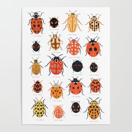 Ladybugs Poster
