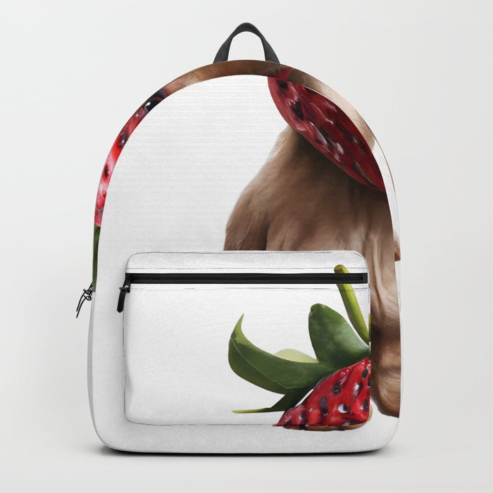 Strawberry Hound Backpack