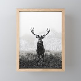 Horns Solo - Realistic Deer Drawing Framed Mini Art Print
