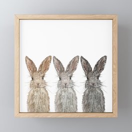 Triple Bunnies Framed Mini Art Print