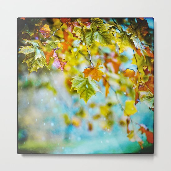 December Metal Print