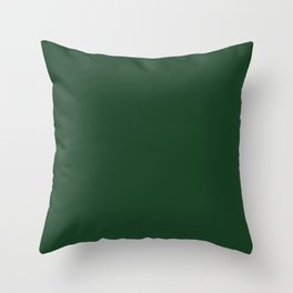 Simply Solid - Eden Green Throw Pillow
