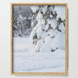 Snowy pine trees | Winter Lapland Finland  Serving Tray