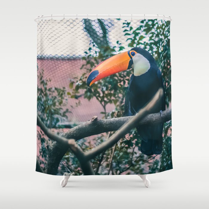 Brazil Photography - Toco Toucan Sitting On A Branch Shower Curtain