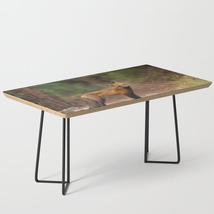 Red Fox  Coffee Table