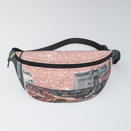 French Summer Fanny Pack