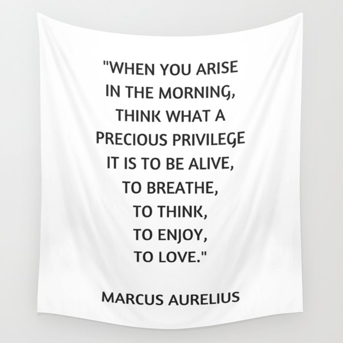 Stoic Philosophy Quote - Marcus Aurelius - What a precious privilege it is to be alive Wall Tapestry