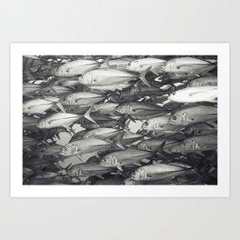 Fish Shoal 141211-8298 Art Print