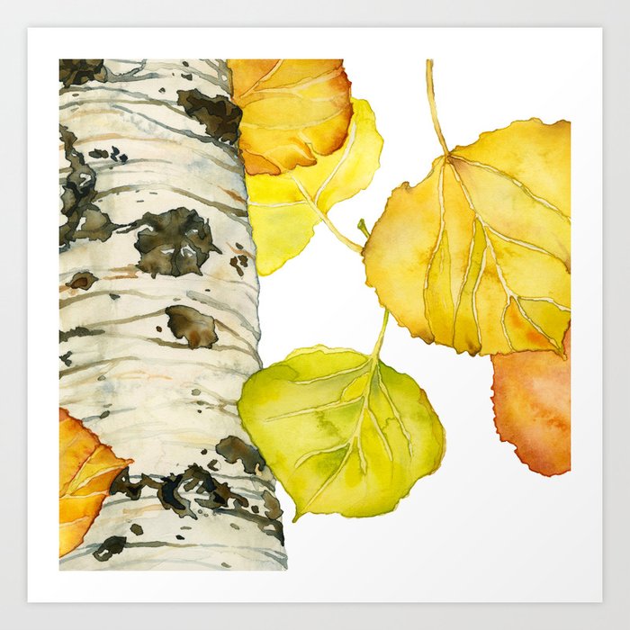 Falling Aspen Leaves Art Print By Cindylouillustration Society6